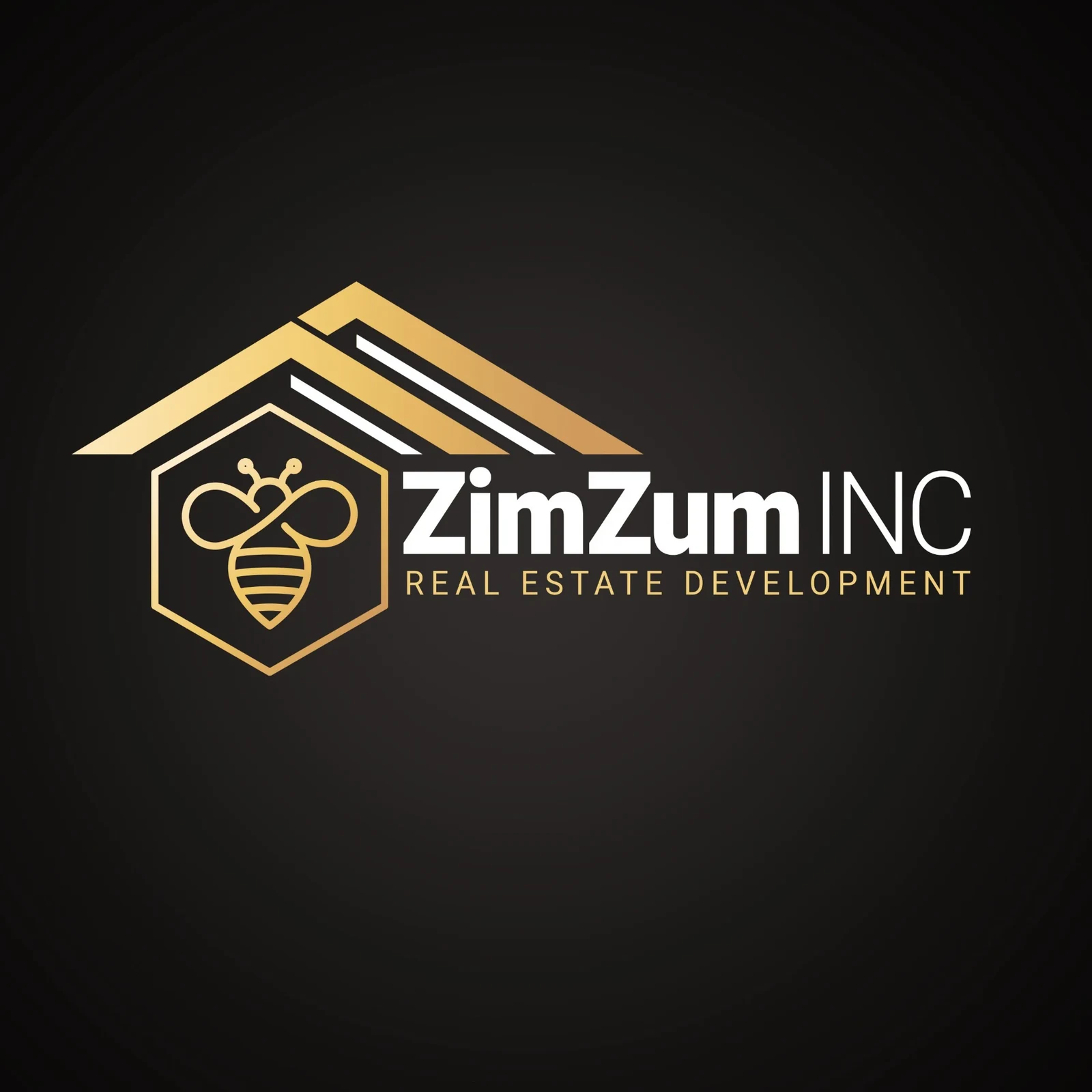 ZimZum Inc — Real Estate Development